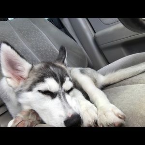 Meet your Posher, Allison